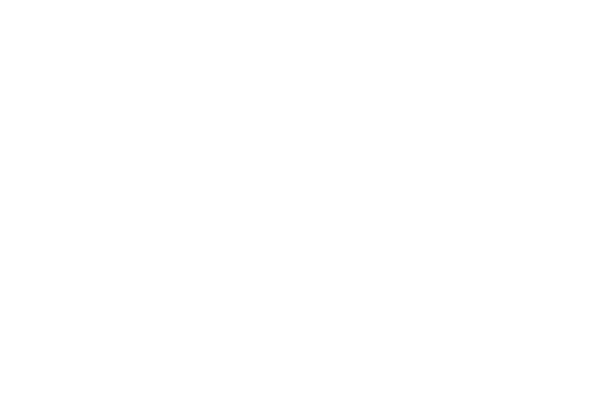 Dynacord romania
