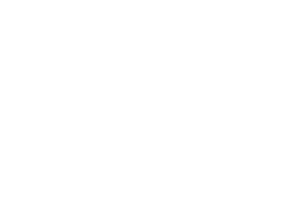 pioneer-romania