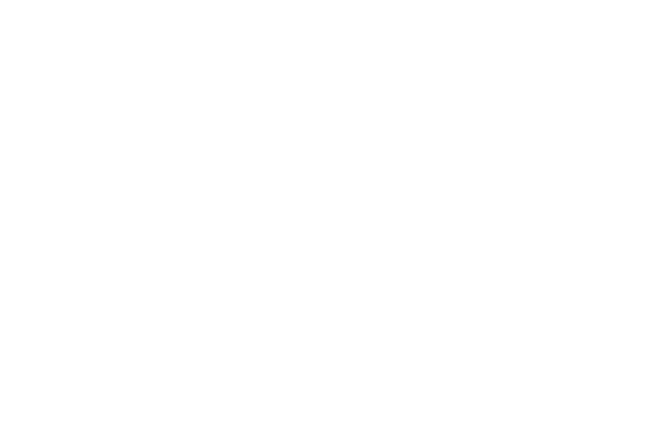 shure-romania